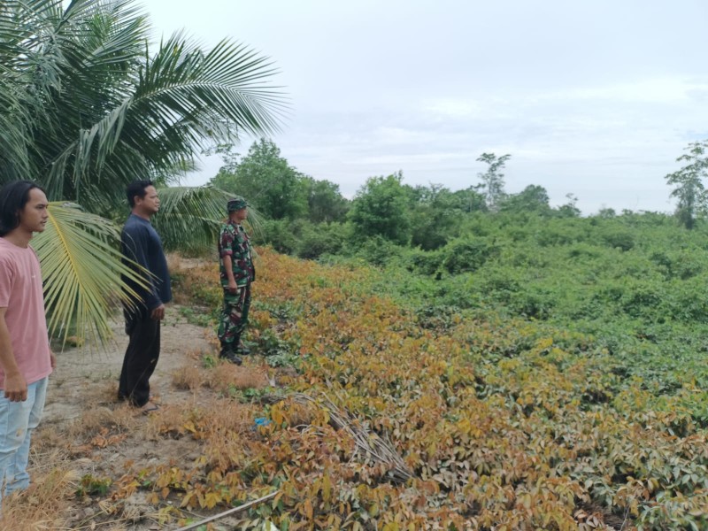 Antisipasi Karhutla, Babinsa Koramil 03 Sei Sembilan Laksanakan Patroli di Wilayah Rawan