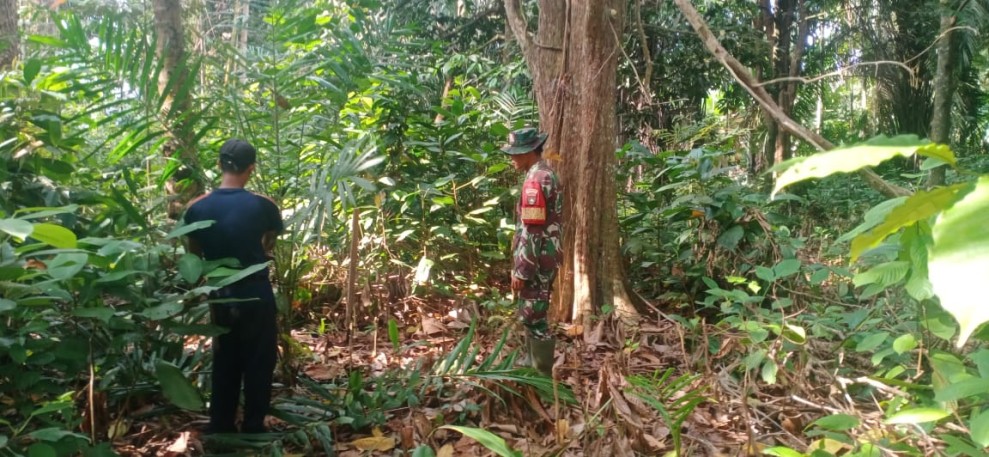 Koramil 06/Merbau Perkuat Pengawasan Lahan Gambut, Patroli Karhutla Nihil Titik Api