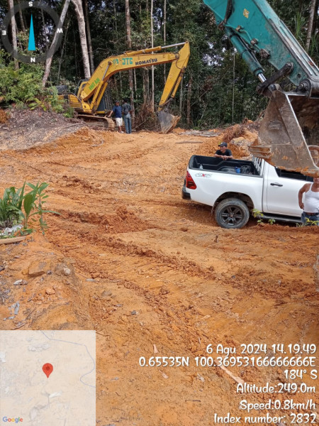 HPT Hutan Desa Tanjung Medan Rokan IV Koto Habis Digarap