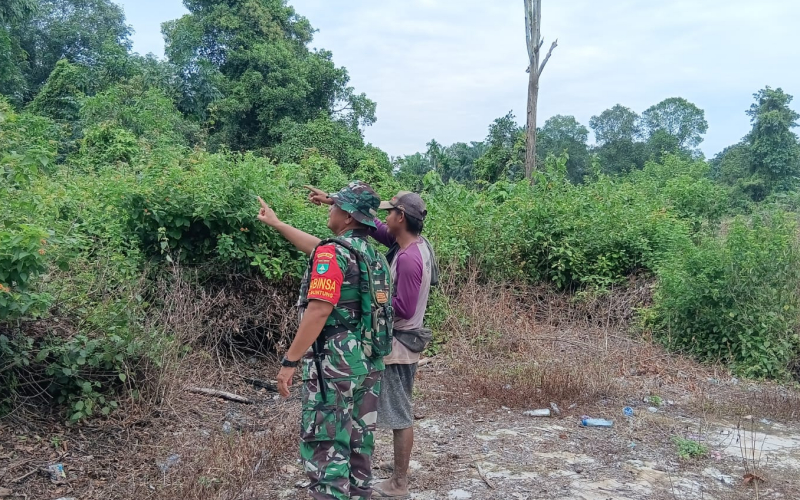 Babinsa Guntung Gencarkan Patroli dan Sosialisasi Cegah Karhutla di Medang Kampai