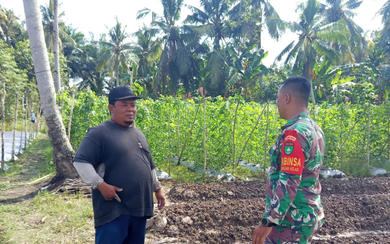 Cegah Karhutla, Babinsa Koramil 01 Dumai Dampingi Karya Nyata Pertanian Warga Bagan Keladi