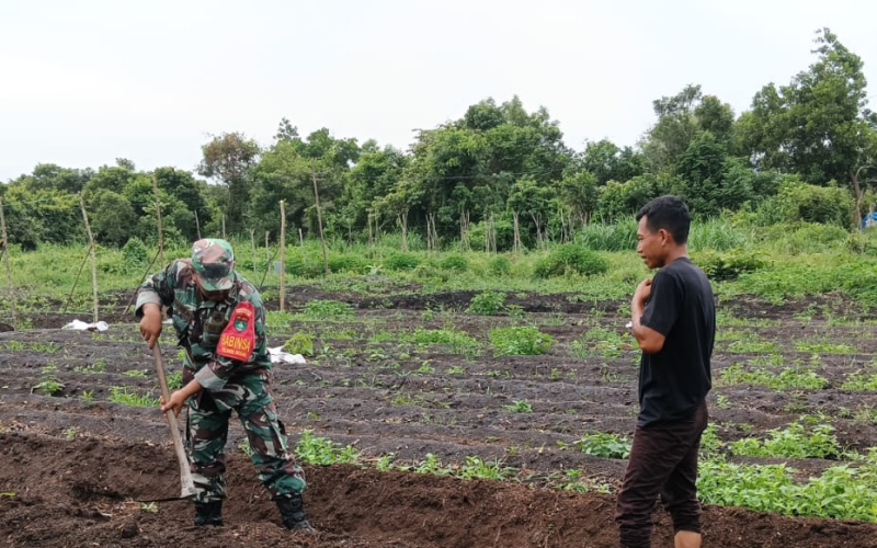 Sertu Sareh Dorong Warga Manfaatkan Lahan Produktif di Bukit Kapur