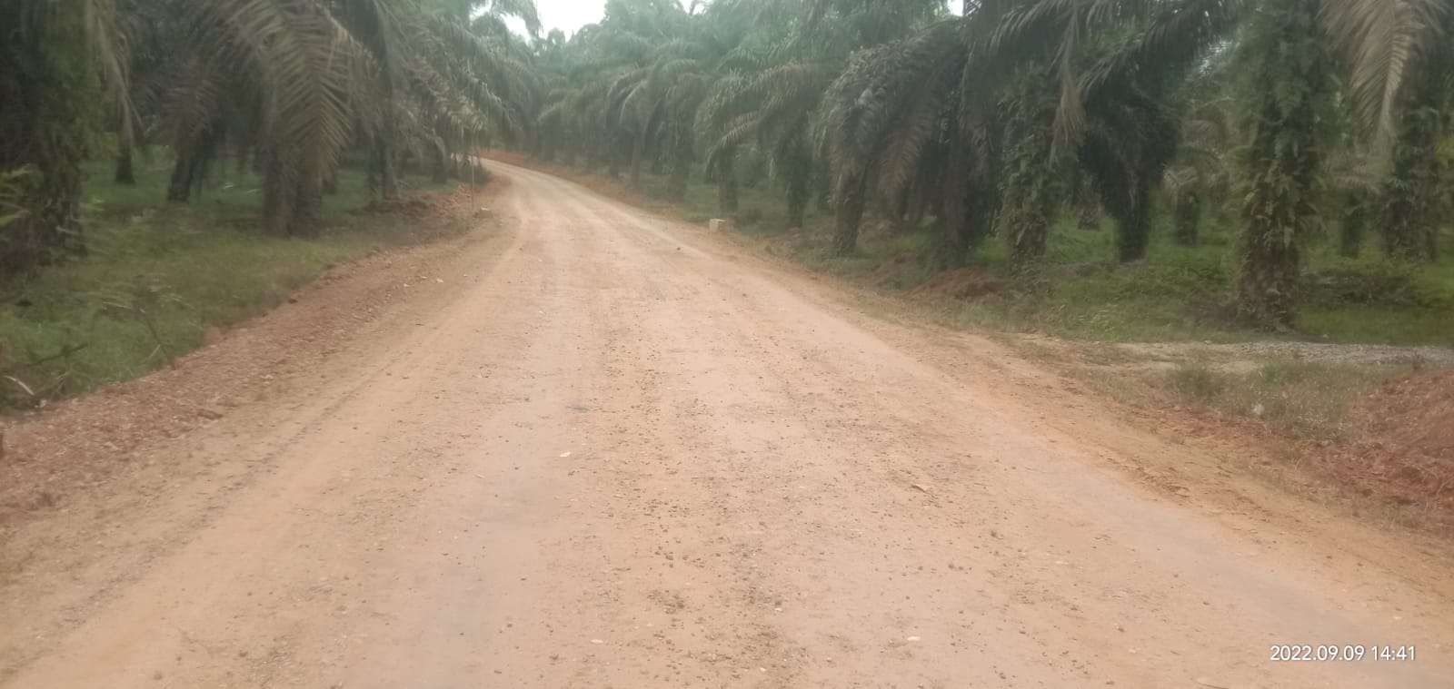 Perbaikan Jalan Desa Bukit Intan Makmur Menuju Kota Lama Sepanjang 8 Kilometer Telah Selesai