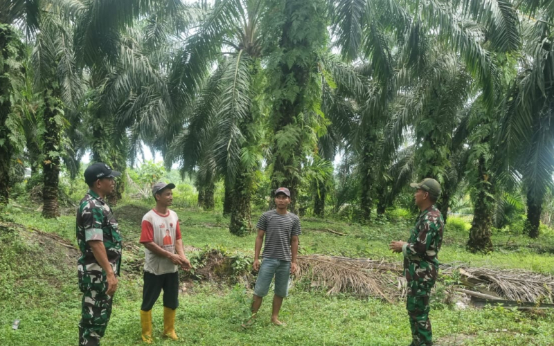 Babinsa Koramil 02 Bukit Kapur Gelar Patroli dan Sosialisasi Cegah Karlahut di Kampung Baru