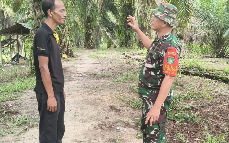 Babinsa Koramil 01/Dumai Patroli Karhutla dan Dampingi Pengolahan Lahan Warga di Bukit Datuk