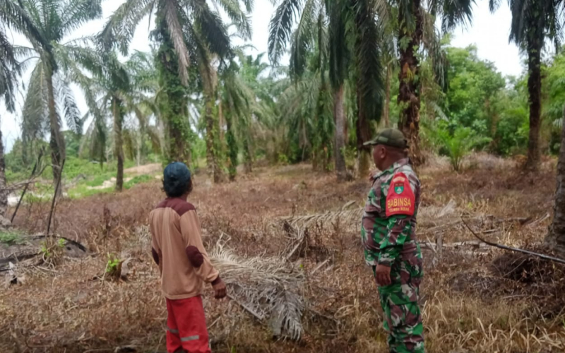 Babinsa Sertu Sareh: Warga Harus Waspada, Sekecil Apa pun Api Bisa Picu Karhutla