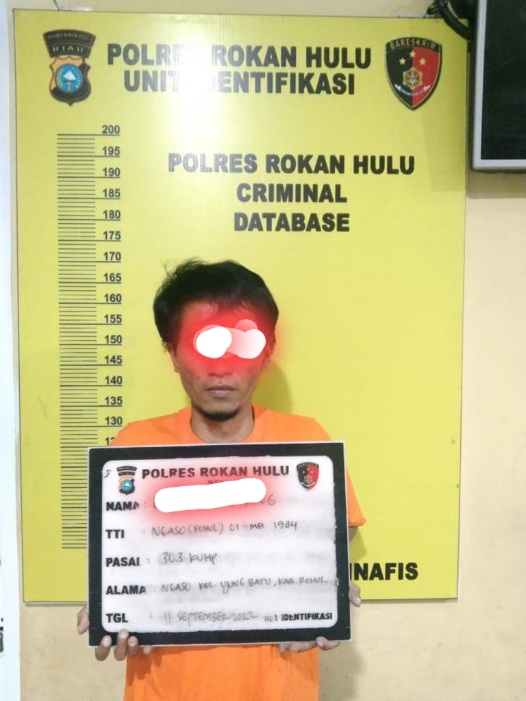 Berantas Perjudian Togel, Sat Reskrim Polres Rohul Ringkus Tersangka Di Pasar Ngaso Ujung Batu 