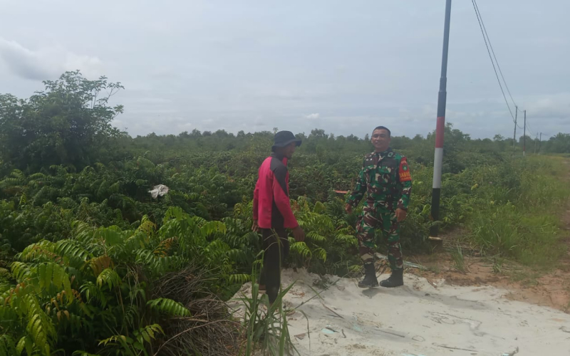 Babinsa Koramil 01 Patroli Karhutla dan Dampingi Karya Nyata Tanaman Sawi di Bagan Keladi