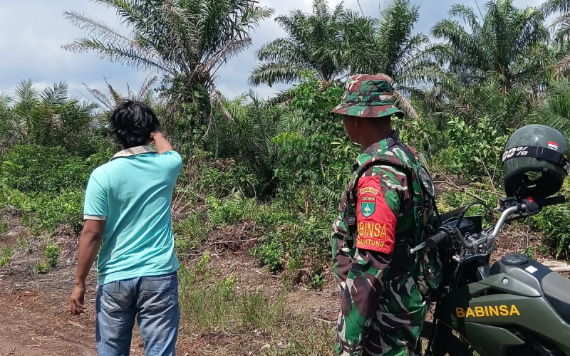 Babinsa Guntung Intensifkan Patroli Karhutla, Warga Diminta Tidak Bakar Lahan