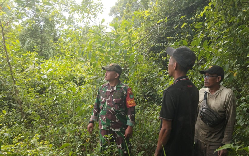 Babinsa Koramil 02/BK Gencarkan Patroli Karhutla di Bukit Kapur