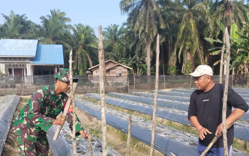 Babinsa Koramil 03 Sosialisasikan Pencegahan Karhutla Lewat Kegiatan Karya Nyata