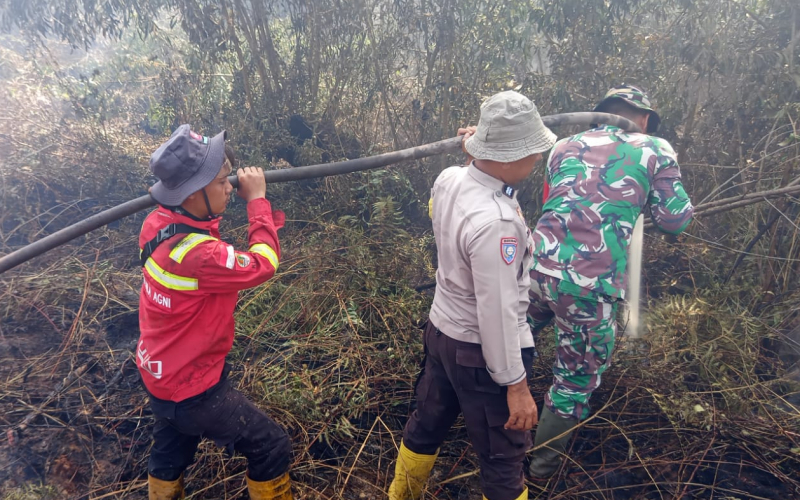 Kodim Dumai Bersama Unsur Terkait Laksanakan Pemadaman dan Pendinginan Karhutla di Bagan Keladi