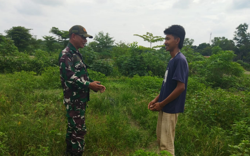 Babinsa Koramil 01 Dumai Dampingi Warga Kembangkan Pertanian Jeruk Nipis
