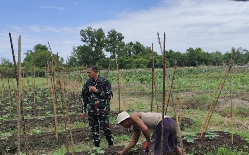 Serda Miftah Sosialisasikan Larangan Bakar Lahan Saat Pendampingan Petani di Bangsal Aceh