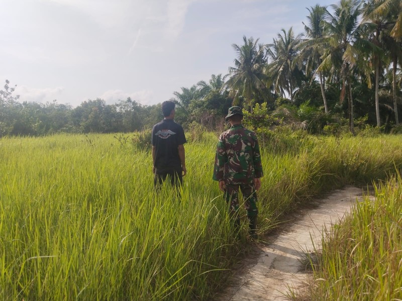 Babinsa Sungai Sembilan Patroli Karhutla dan Sosialisasi Pencegahan di Tanjung Penyembal