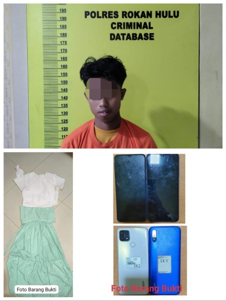 Diduga Cabuli Anak Di Bawah Umur, Pria Ini Diamankan Penyidik Sat Reskrim Polres Rohul