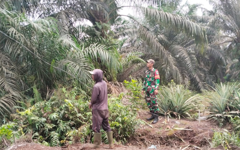 Babinsa Tanjung Penyembal Laksanakan Patroli Karhutla di Sungai Sembilan