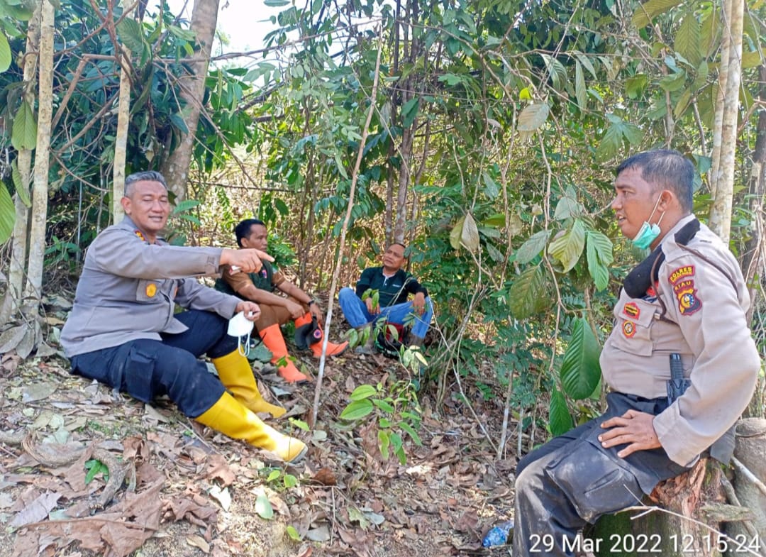 Kapolres Rohul Turun Ke Lokasi Padamkan Api Kebakaran Hutan Dan Lahan Di Kecamatan Rambah Samo