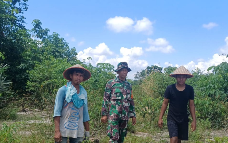 Cegah Karhutla, Babinsa Bukit Kapur Rutin Patroli Wilayah Rawan