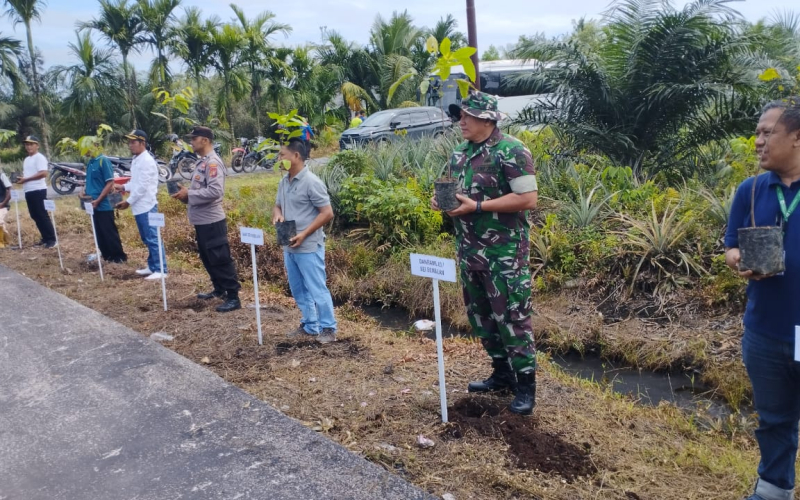 Danramil 03 Sungai Sembilan Dukung PT APICAL Tanam Pohon Matoa Demi Kelestarian Lingkungan