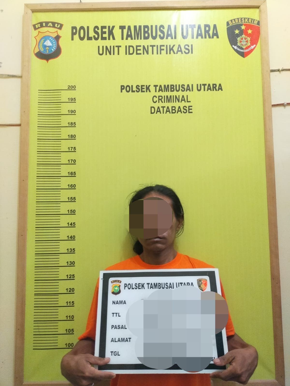 Personil Polsek Tambusai Utara Ringkus Pelaku Dugaan TP Curat Di Kabupaten Rohil 