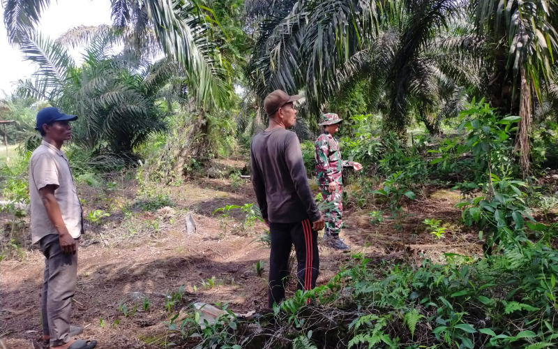 Patroli Karhutla di Sungai Sembilan Disertai Pendampingan Karya Nyata Tanaman Cabai