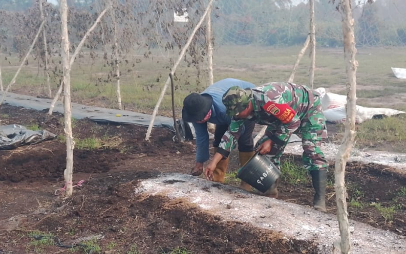 Babinsa Rimba Sekampung Gelar Patroli Karhutla dan Dampingi Penyemaian Kangkung