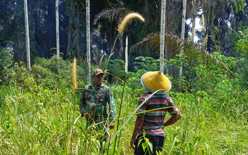 Babinsa Lubuk Gaung Turun Langsung Sosialisasikan Pencegahan Karhutla kepada Masyarakat