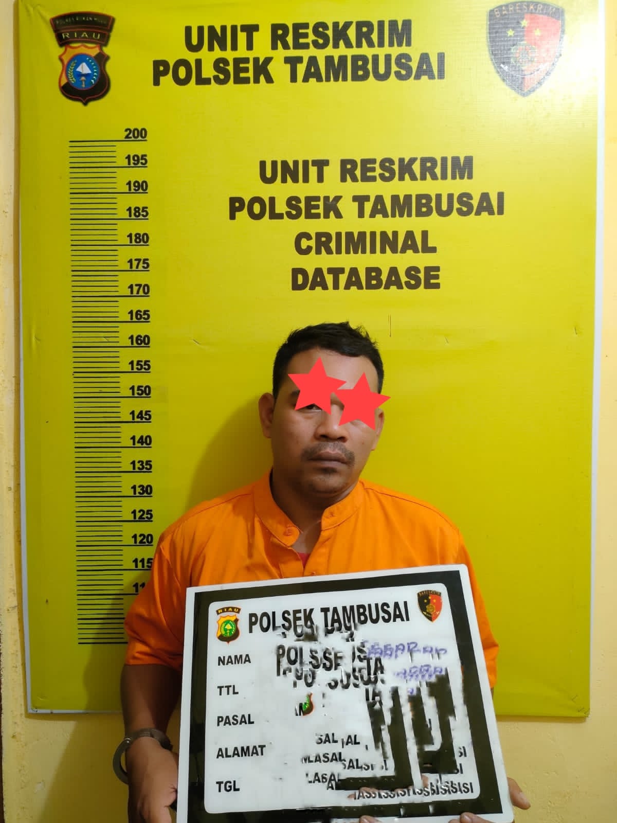 Seorang Perempuan Dipukuli Dengan Kayu, Pria Ini Diciduk Unit Reskrim Polsek Tambusai