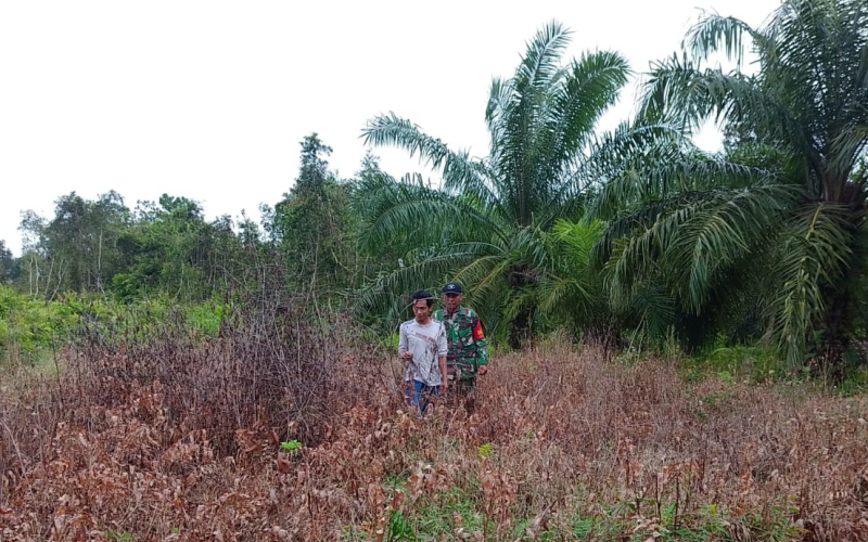 Babinsa Koramil 02 Bukit Kapur Intensifkan Patroli Karhutla di Wilayah Mundam