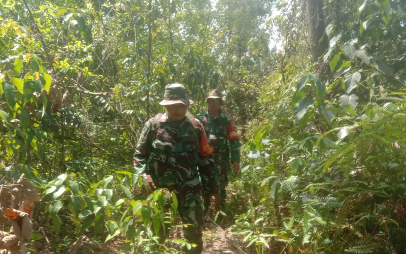 Patroli Karhutla Babinsa Dumai: Pastikan Wilayah Aman, Tidak Ada Titik Api