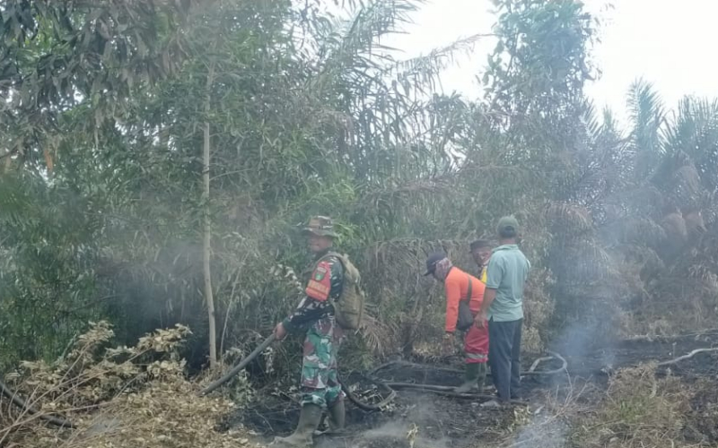 Hari Ketiga Pemadaman Karhutla, Babinsa Fokus Pendinginan Lahan Gambut di Bangsal Aceh