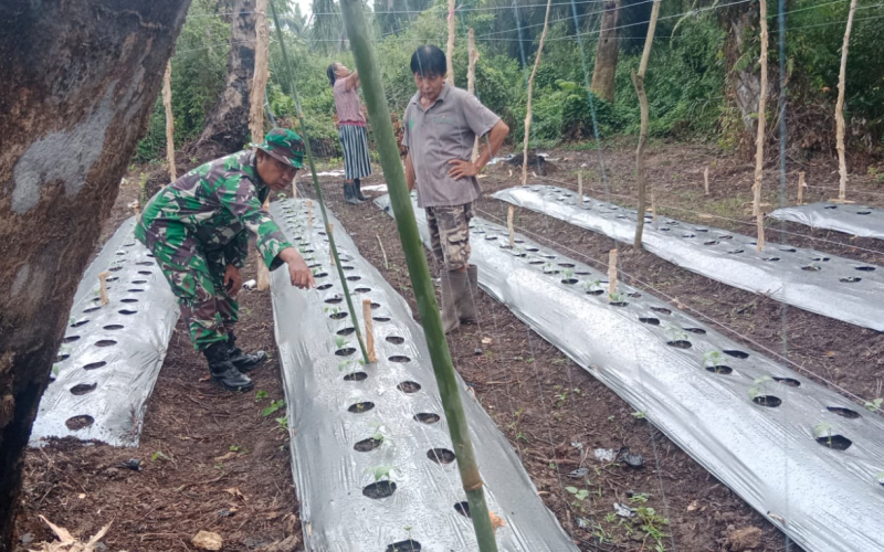 Sertu Mahyudin Turun ke Lapangan, Cegah Karhutla dan Dukung Pertanian Warga