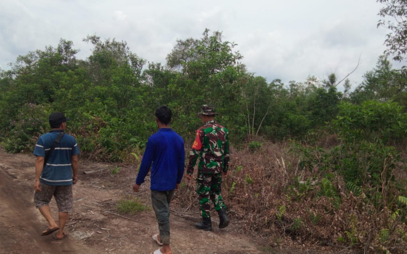 Cegah Karhutla, Babinsa Dampingi Warga Tanam Kangkung di Lahan Setengah Hektare