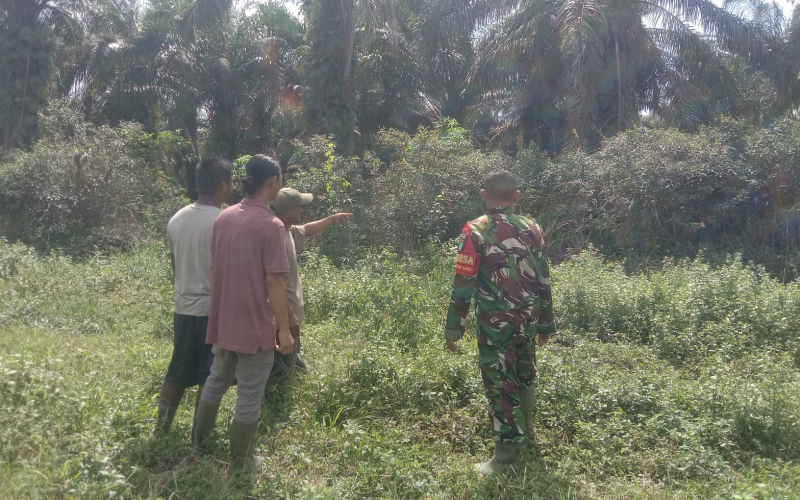 Babinsa Sungai Sembilan Gencarkan Patroli Karhutla di Wilayah Rawan Kebakaran
