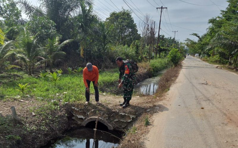 Babinsa Bukit Datuk Patroli Karhutla dan Sosialisasi Banjir, Sekaligus Dampingi Penanaman Jeruk Nipis