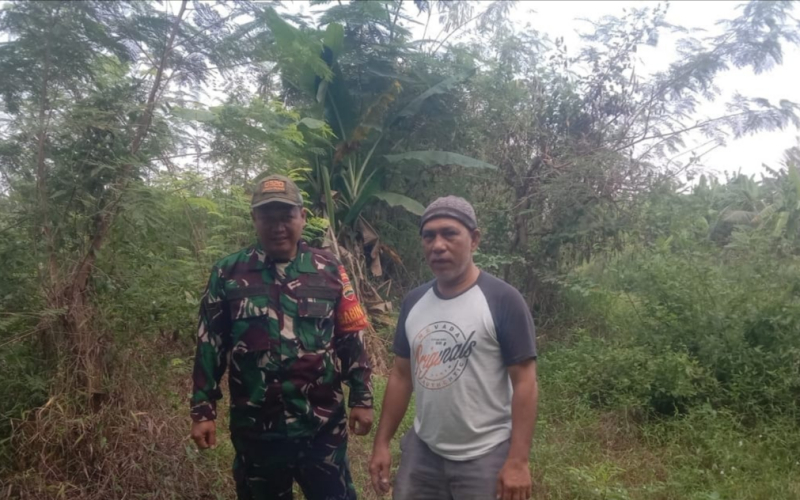 Babinsa Buluh Kasap Gencarkan Patroli Karhutla, Dampingi Petani Jagung di Dumai Timur