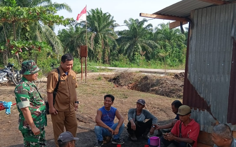 Babinsa Koramil 02 Dampingi Petani Cabai di Kelurahan Bagan Besar Timur