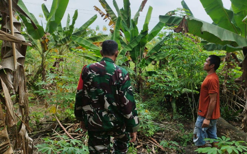Jaga Lingkungan Tetap Aman, Babinsa Batu Teritip Gencarkan Patroli Karhutla