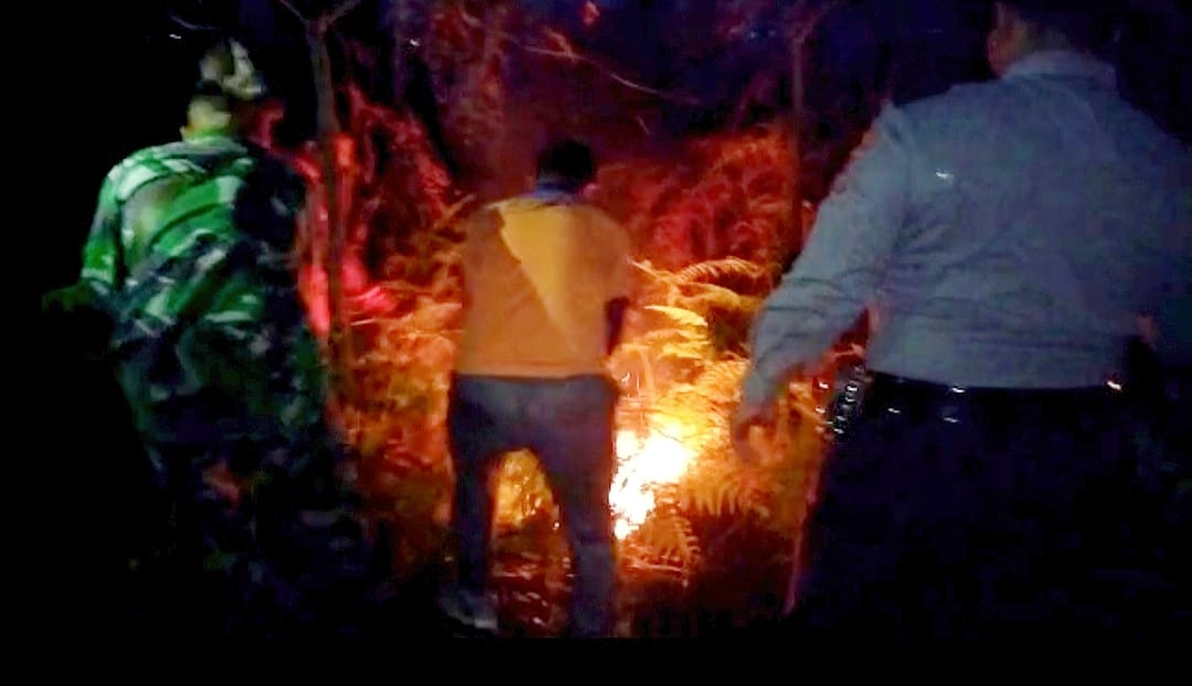 Sekitar 50 Hektar Jenis Lahan Mineral Terbakar di Kabupaten Rokan Hulu
