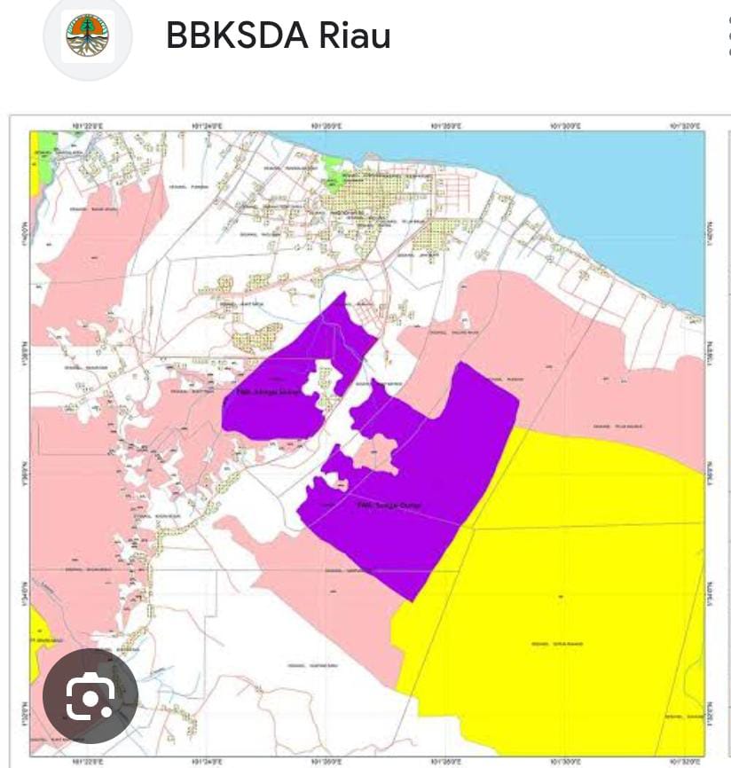 Satgas PKH Tidak Segera Lakukan Penertiban, TWA Sungai Dumai Hanya Tinggal Nama