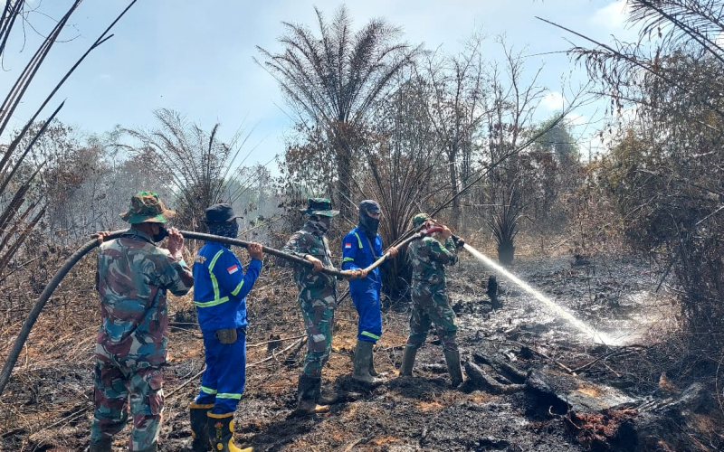 Kodim Dumai Laksanakan Pendinginan Karhutla di Dumai Timur Secara Terpadu