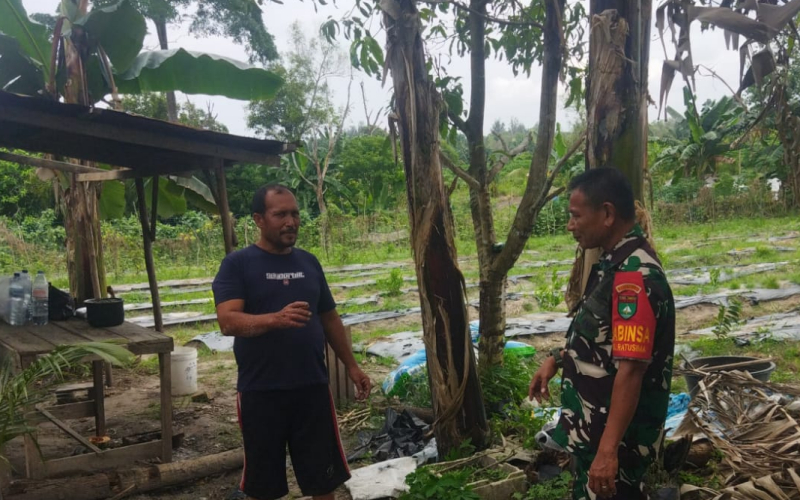 Personel Karya Nyata Tanaman Cabe Rawit, Dandim Dumai Apresiasi Upaya Ketahanan Pangan