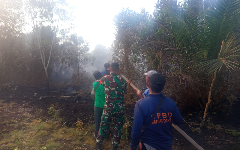 Kodim 0320 Dumai Bergerak Cepat Padamkan Kebakaran Lahan Gambut di Bagan Keladi