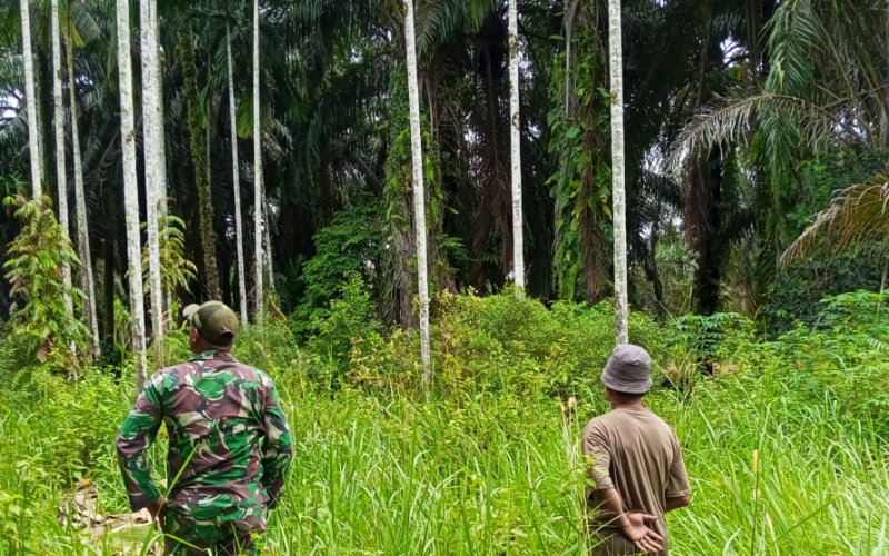 Koramil 03 Sungai Sembilan Intensifkan Patroli Karhutla di RT 22 Lubuk Gaung