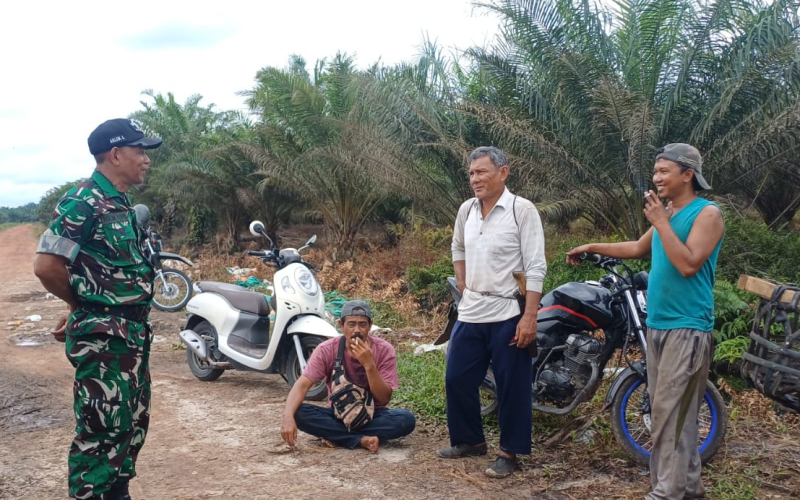 Babinsa Intensifkan Patroli Karhutla, Dandim Dumai Tegaskan Larangan Bakar Lahan