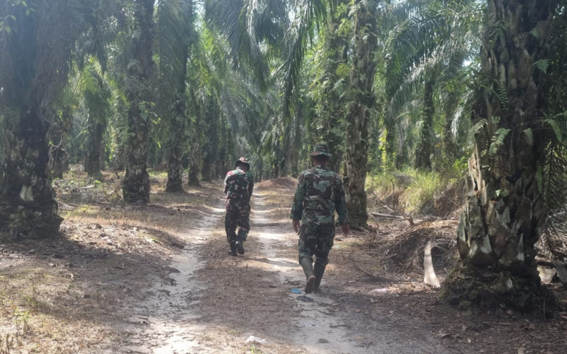 Babinsa Kampung Baru Gencar Patroli dan Edukasi Warga Cegah Karhutla