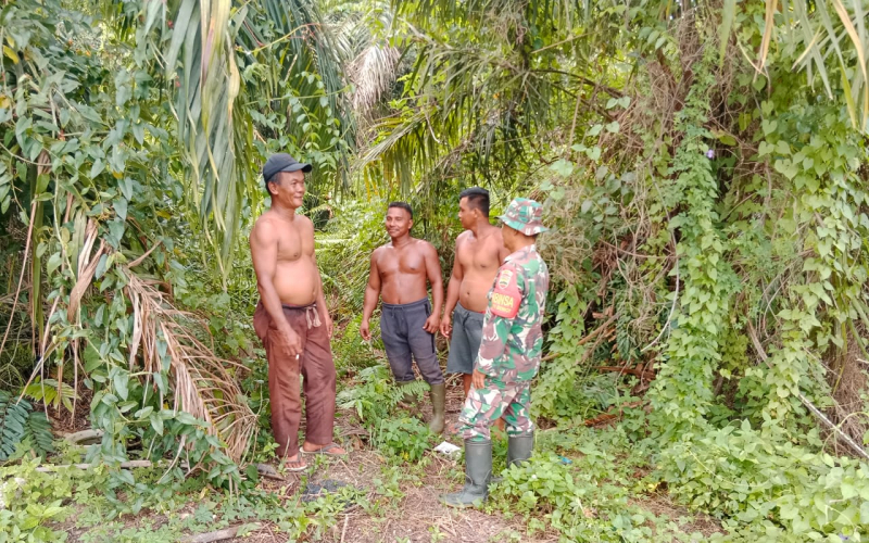 Babinsa Sungai Geniot Laksanakan Patroli Karhutla di Lahan Gambut