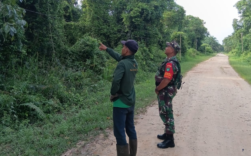 Wujud Kepedulian Lingkungan, Babinsa Koramil 02/BK Ajak Warga Guntung Cegah Karhutla