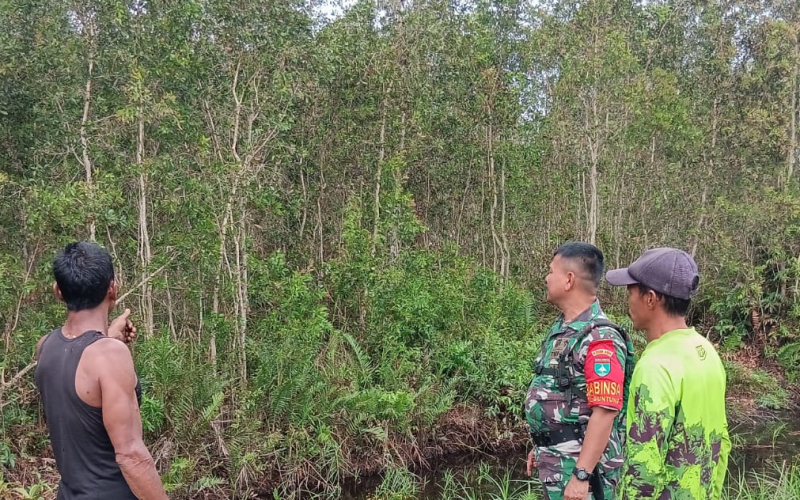 Babinsa Guntung Tingkatkan Patroli Cegah Karhutla